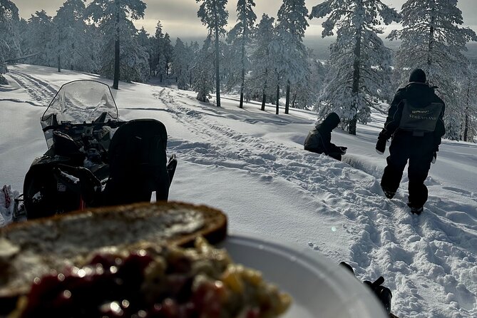Snowmobile Safari to the Wilderness - Key Highlights You’ll Want to Plan For