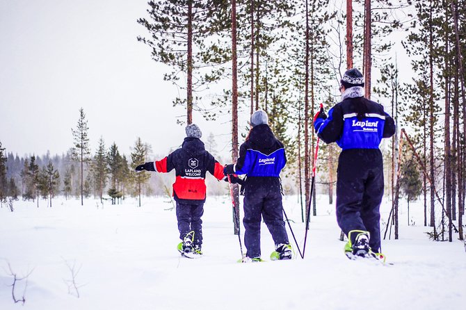 Snowshoe Trip in the Forest - Key points before you go