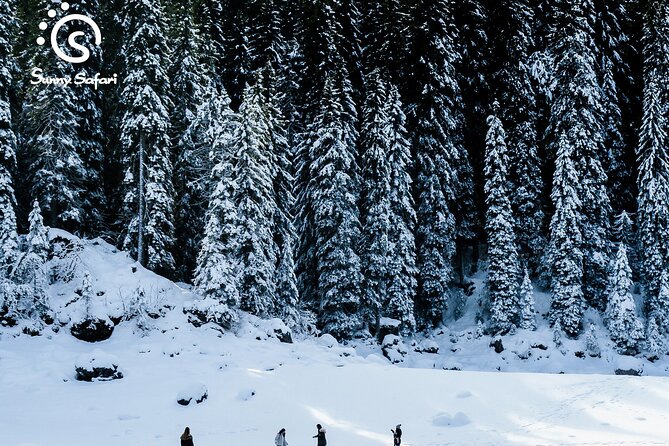 Snowshoeing in Lapland Wilderness - Price and value: what you’re getting for the money