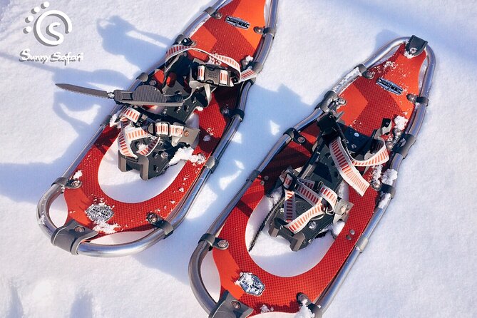 Snowshoeing in Lapland Wilderness - Weather, season, and what to plan for in Lapland