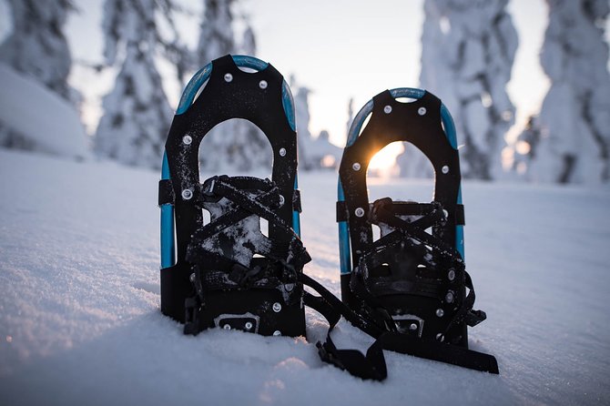 Snowshoeing in the Arctic Circle Wilderness - Snowshoes On: What the Trek Is Like in the Arctic Woods