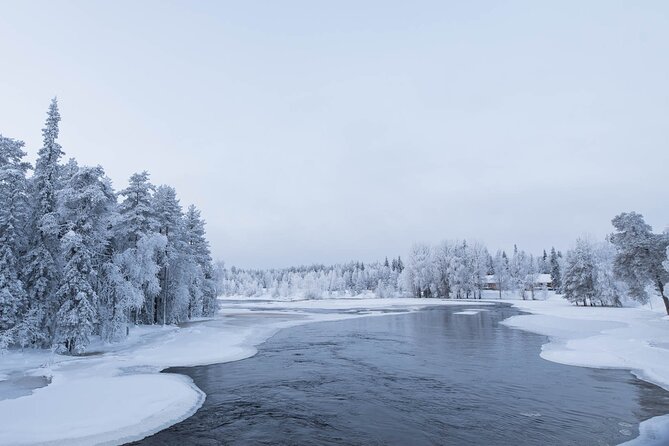 Snowshoeing in the Arctic Circle Wilderness - Small-Group Timing: Pickup Windows and Start at 11:00 am