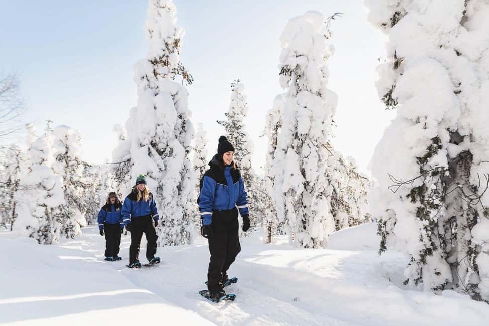 Snowshoeing in the Arctic Wilderness - Snowshoeing in Lapland: what a 4-hour Arctic safari is really like