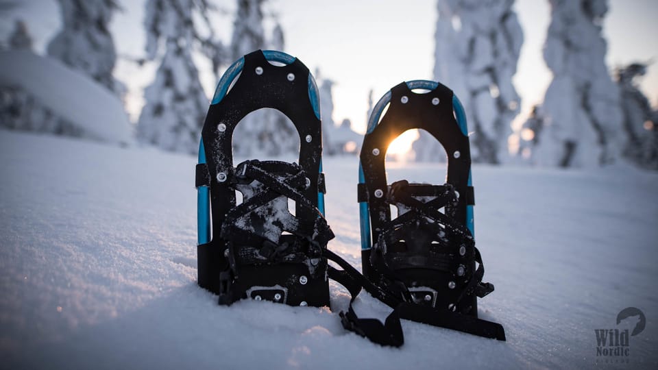 Snowshoeing in the Arctic Wilderness - Who should go (and who should skip snowshoeing here)