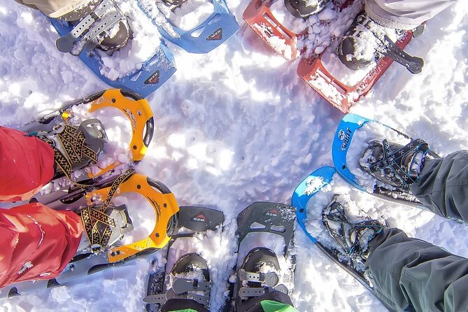 Snowshoeing tour with Wild Lunch - Quick highlights: what makes this Wild Lunch snowshoe day work