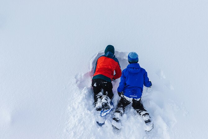 Snowshoeing tour with Wild Lunch - On Snowshoes for About Three Hours: Pace, Terrain, and Big Views