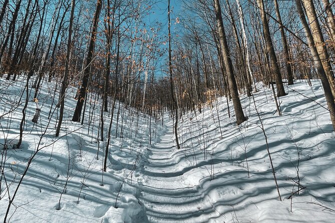 Snowshoeing tour with Wild Lunch - What’s Included (and What You Need to Pack)