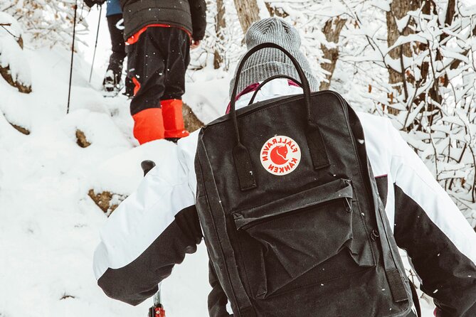 Snowshoeing tour with Wild Lunch - Price and Value: Is $95.53 Worth It?