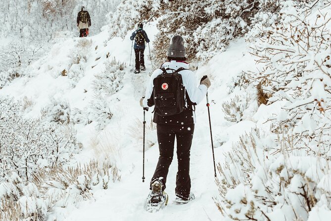 Snowshoeing tour with Wild Lunch - Should you book Wild Lunch snowshoeing with ToTheNorth?