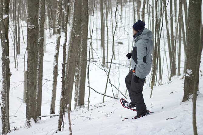 Snowshoeing tour with Wild Lunch - FAQ