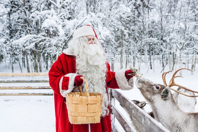 Trip to Arctic Circle, Santa Claus Village and Santas Reindeer - Key highlights worth your attention