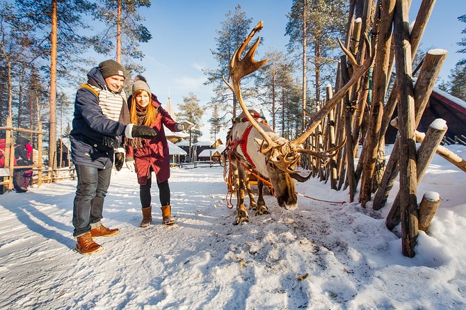 Trip to Arctic Circle, Santa Claus Village and Santas Reindeer - Lunch at the Arctic Circle and the Snowmobile Museum You Shouldn’t Skip