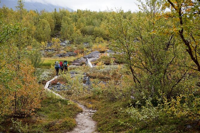 Trip to Pyhä-Luosto National Park and Amethyst Mine - Key Things to Know Before You Go