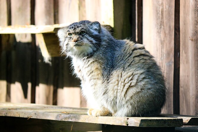 Trip to Ranua Wildlife Park - The buffet lunch stop: warm food and a calmer pace