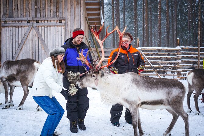 Two Full Days in Lapland - Who Should Book This Two-Day Lapland Plan