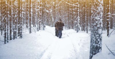 Vikakongas Hike: Nature and Silence - Rovaniemi Pickup and the short ride to the trail