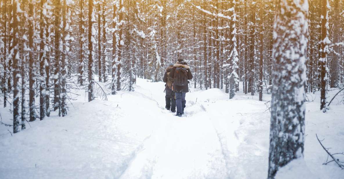 Vikakongas Hike: Nature and Silence - Rovaniemi Pickup and the short ride to the trail