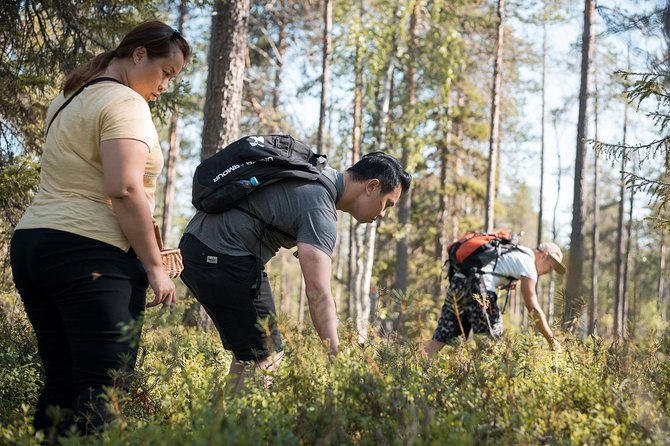Wild Berries and Mushroom picking tour - Secret spots in Lapland: why the route matters