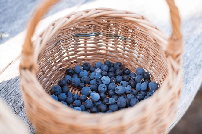 Wild Berries and Mushroom picking tour - Seasons and timing: when mushrooms and berries are worth the hunt