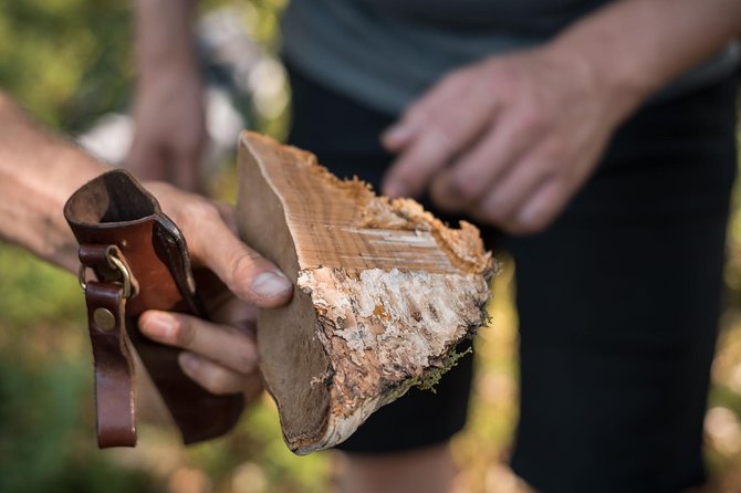 Wild Berries and Mushroom picking tour - Price and value: what $104 buys you in Rovaniemi