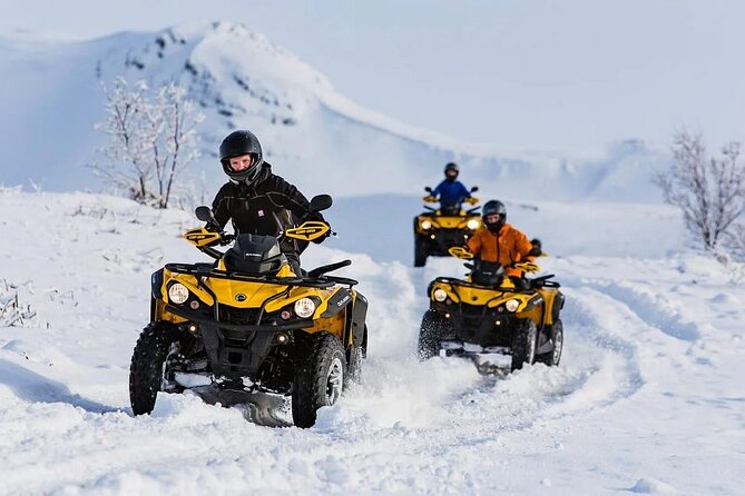 Winter Quad Bike Ride in the Arctic Circle from Rovaniemi - The warm-up stop: hot blueberry juice, gingerbread, and local context